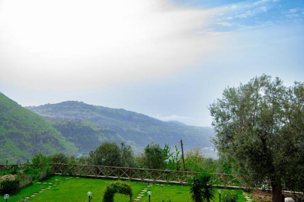 Villa Aurora Oasi Verde Sorrento Bagian luar foto