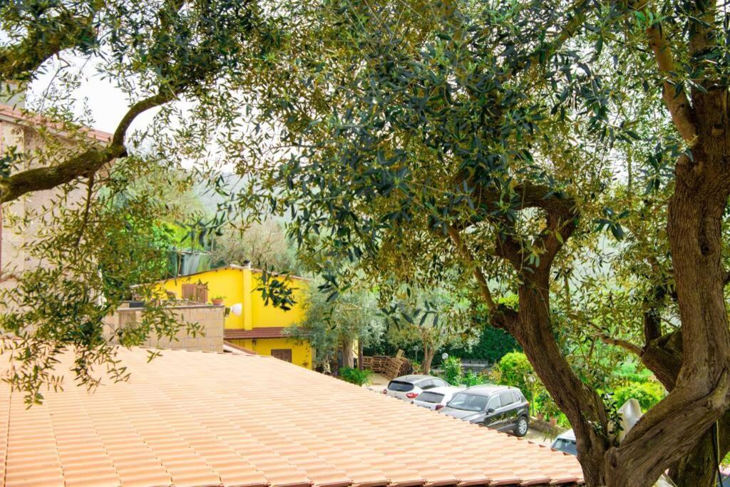 Villa Aurora Oasi Verde Sorrento Bagian luar foto